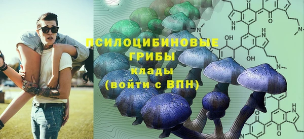 спиды Алзамай