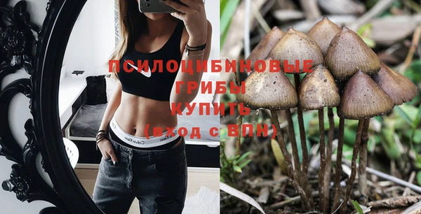 прущая мука Алексеевка