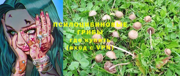 PSILOCYBIN Алексин